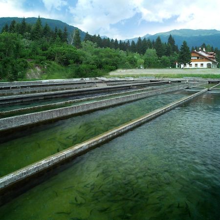 Affittacamere Alle Trote Sùtrio Exterior foto
